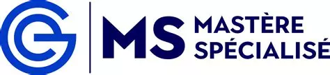 Master Spécialisé expert cybersécurité et forensique